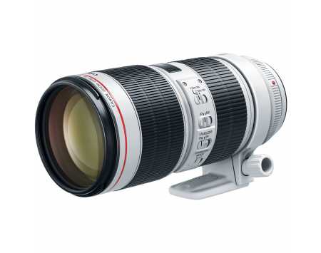 Canon EF 70-200mm f/2.8 L IS III USM Lens