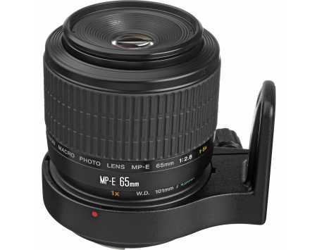 Canon MP-E 65mm f/2.8 1-5x Macro Photo Lens