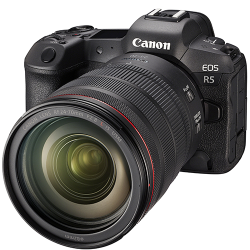 DSLR & Mirrorless Cameras